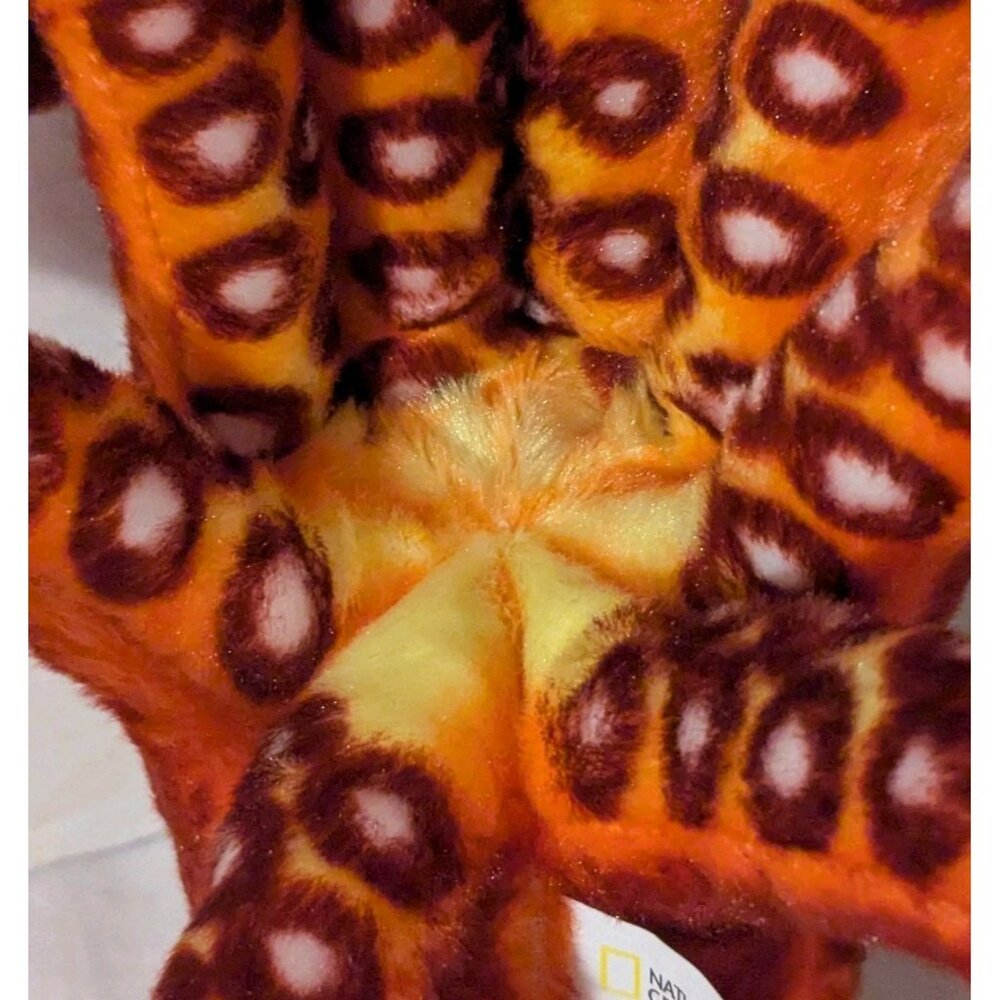 National Geographic Octopus Plush Realistic Orange Stuffed Animal Ocean Sea 11" - Picture 8 of 16